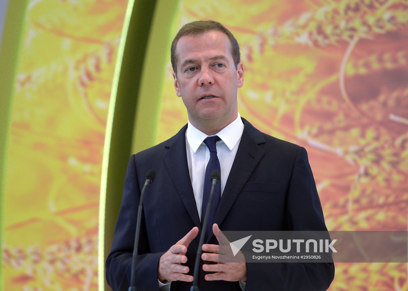 Prime Minister Dmitry Medvedev presents state awards at Golden Autumn exhibition
