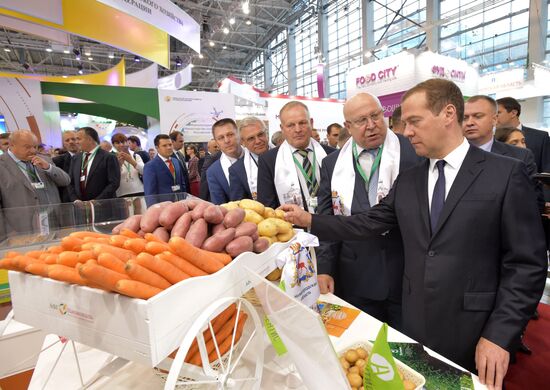 Prime Minister Dmitry Medvedev presents state awards at Golden Autumn exhibition