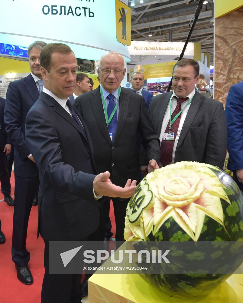 Prime Minister Dmitry Medvedev presents state awards at Golden Autumn exhibition
