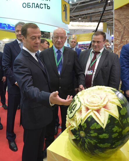 Prime Minister Dmitry Medvedev presents state awards at Golden Autumn exhibition