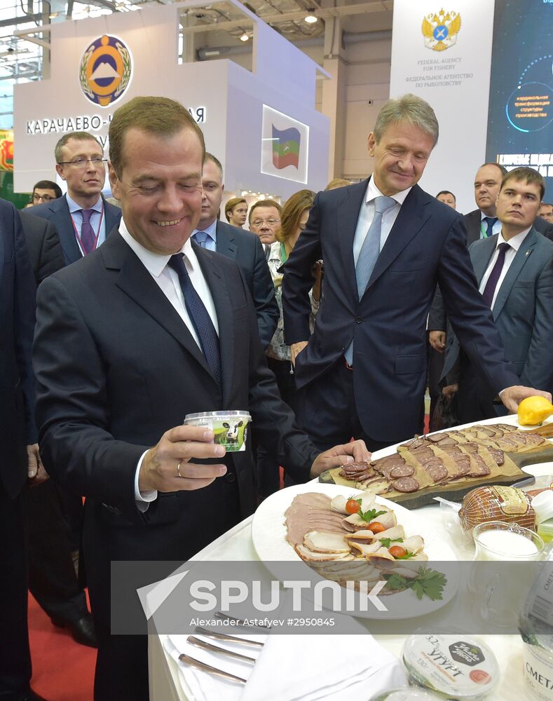 Prime Minister Dmitry Medvedev presents state awards at Golden Autumn exhibition