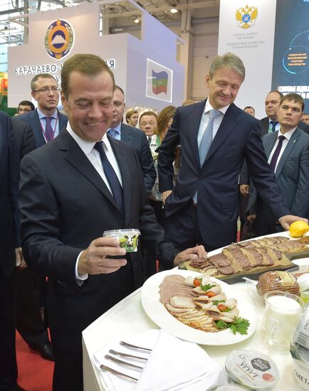 Prime Minister Dmitry Medvedev presents state awards at Golden Autumn exhibition