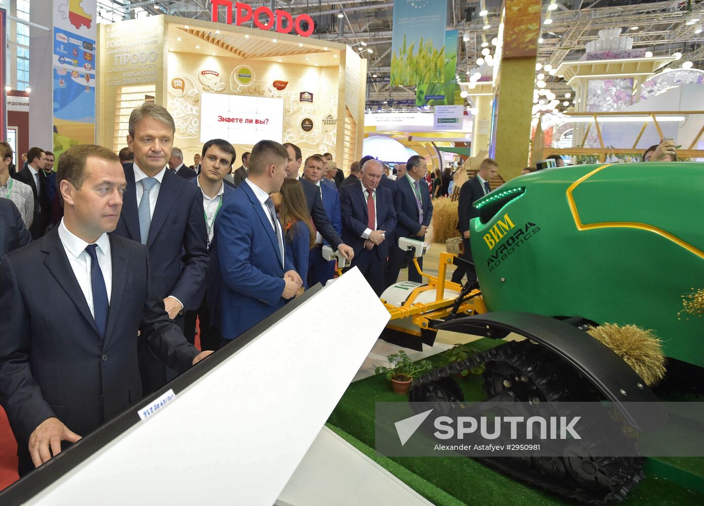 Prime Minister Dmitry Medvedev presents state awards at Golden Autumn exhibition