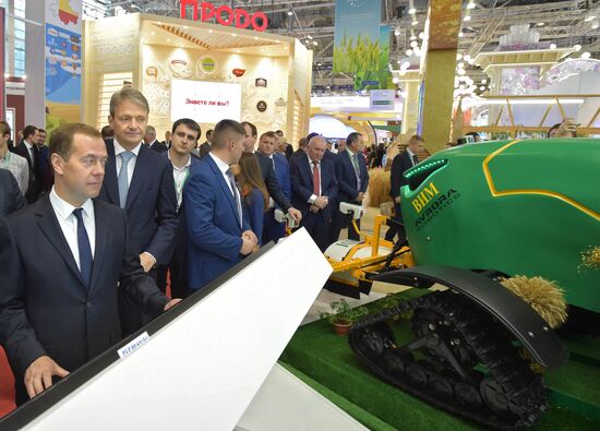 Prime Minister Dmitry Medvedev presents state awards at Golden Autumn exhibition