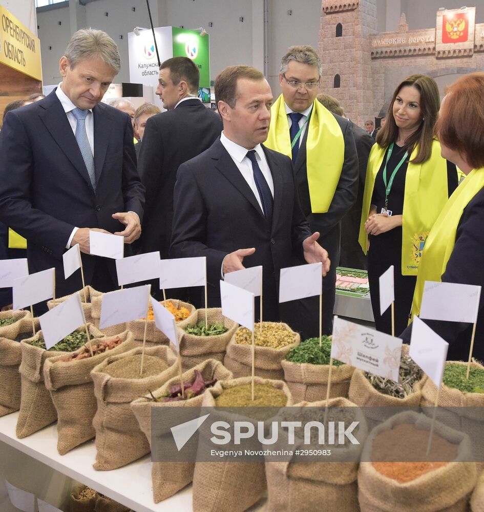 Prime Minister Dmitry Medvedev presents state awards at Golden Autumn exhibition