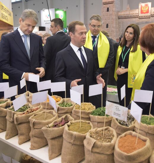 Prime Minister Dmitry Medvedev presents state awards at Golden Autumn exhibition