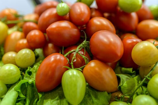 18th Russian Agricultural Exhibition "Golden Autumn"