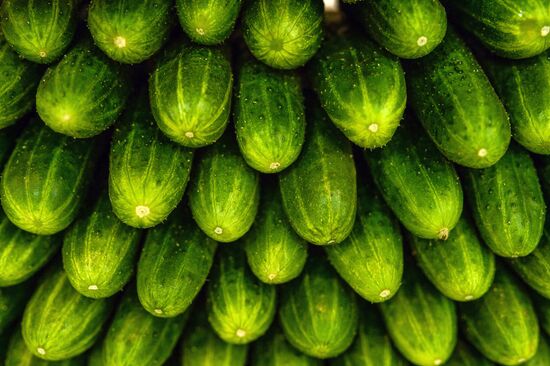 18th Russian Agricultural Exhibition "Golden Autumn"