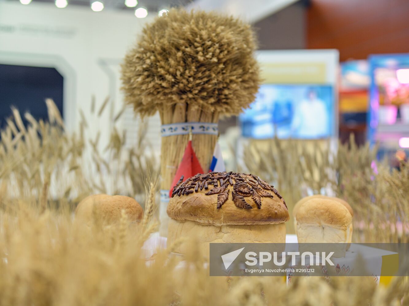 18th Russian Agricultural Exhibition "Golden Autumn"
