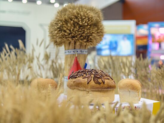 18th Russian Agricultural Exhibition "Golden Autumn"