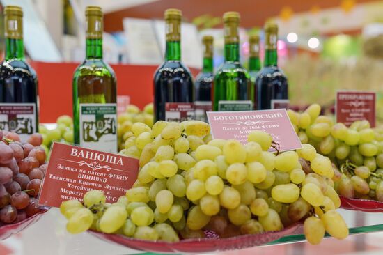 18th Russian Agricultural Exhibition "Golden Autumn"