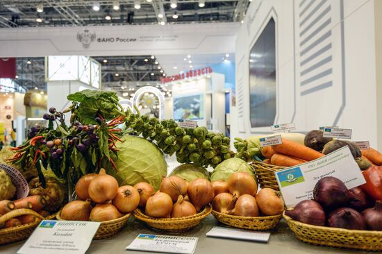 18th Russian Agricultural Exhibition "Golden Autumn"