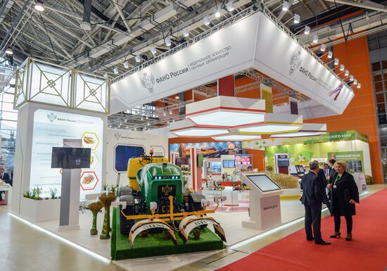 18th Russian Agricultural Exhibition "Golden Autumn"