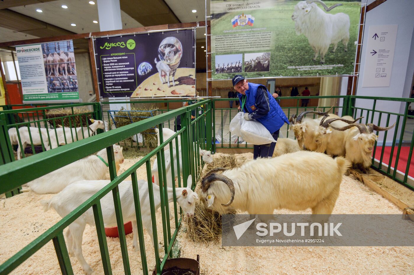 18th Russian Agricultural Exhibition "Golden Autumn"