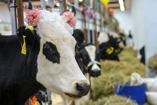 18th Russian Agricultural Exhibition "Golden Autumn"