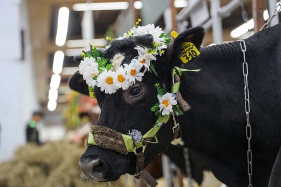 18th Russian Agricultural Exhibition "Golden Autumn"
