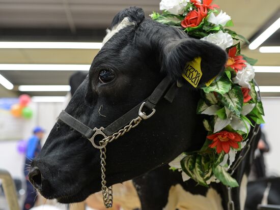 18th Russian Agricultural Exhibition "Golden Autumn"