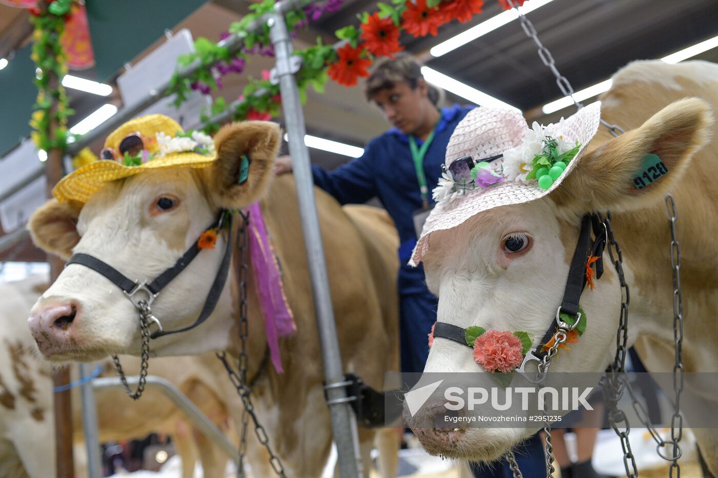 18th Russian Agricultural Exhibition "Golden Autumn"