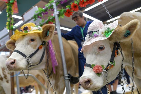 18th Russian Agricultural Exhibition "Golden Autumn"