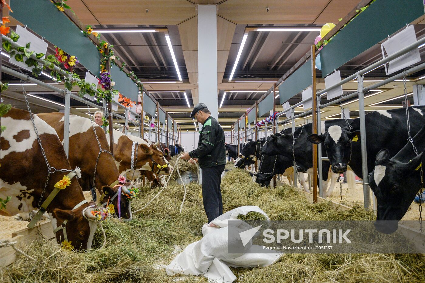 18th Russian Agricultural Exhibition "Golden Autumn"