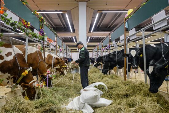 18th Russian Agricultural Exhibition "Golden Autumn"