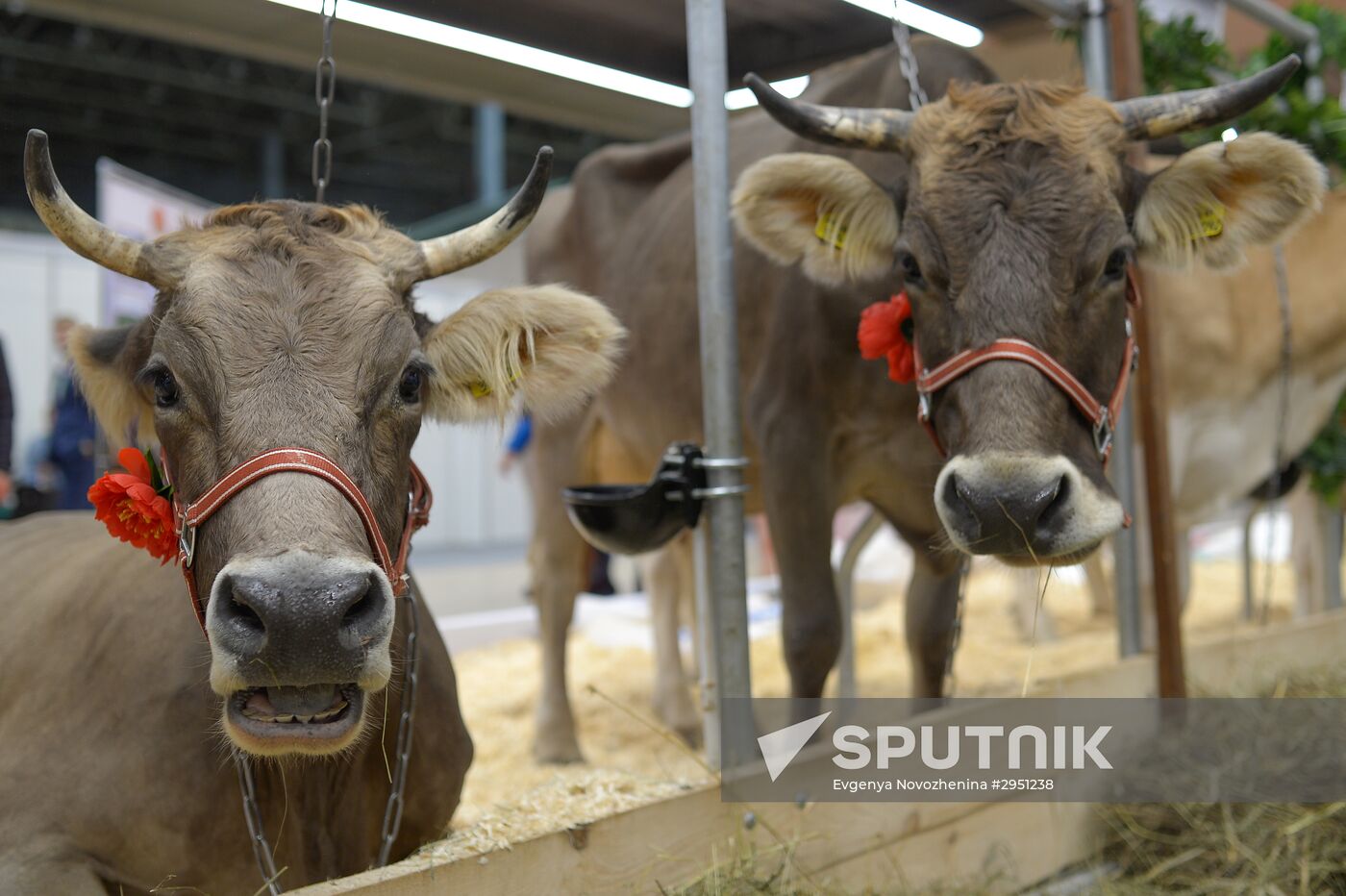 18th Russian Agricultural Exhibition "Golden Autumn"