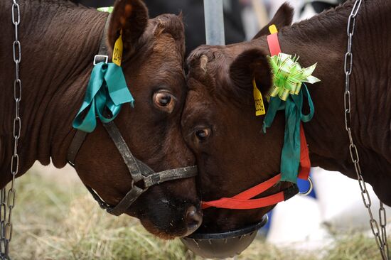 18th Russian Agricultural Exhibition "Golden Autumn"
