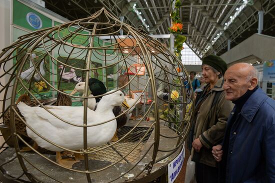 18th Russian Agricultural Exhibition "Golden Autumn"