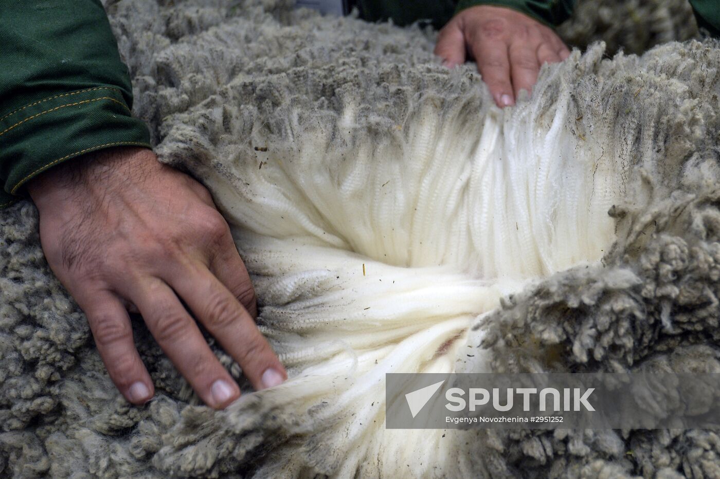 18th Russian Agricultural Exhibition "Golden Autumn"