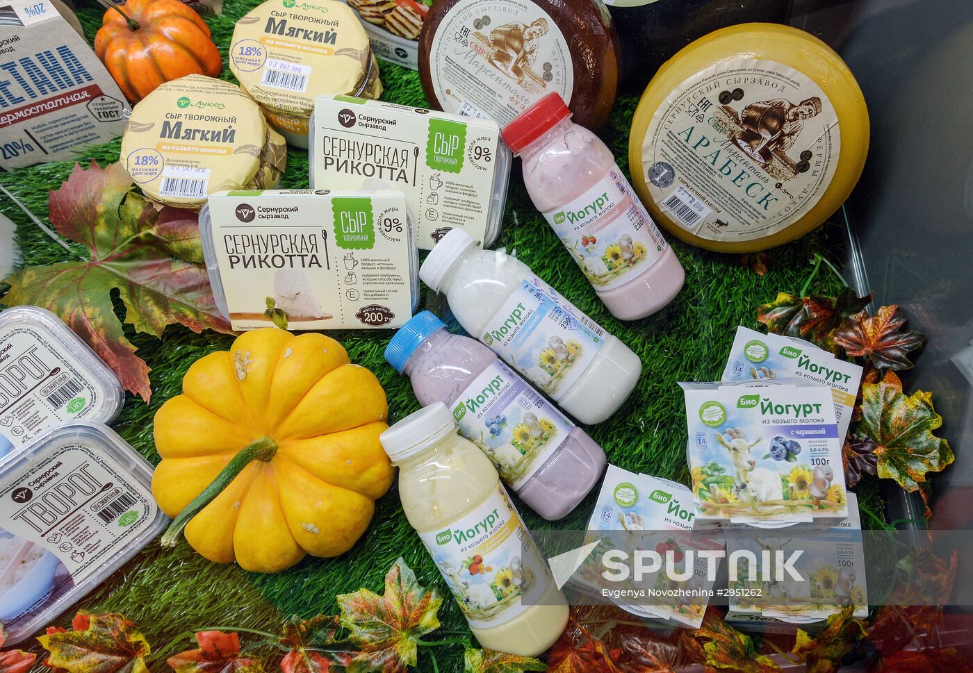 18th Russian Agricultural Exhibition "Golden Autumn"