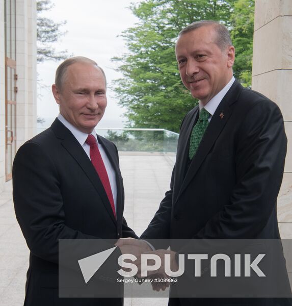 President Vladimir Putin meets with President of Turkey Recep Tayyip Erdogan