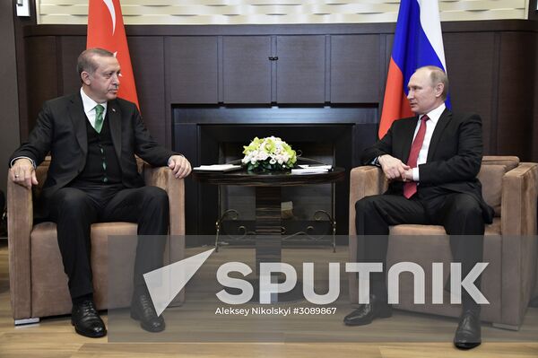 President Vladimir Putin meets with President of Turkey Recep Tayyip Erdogan