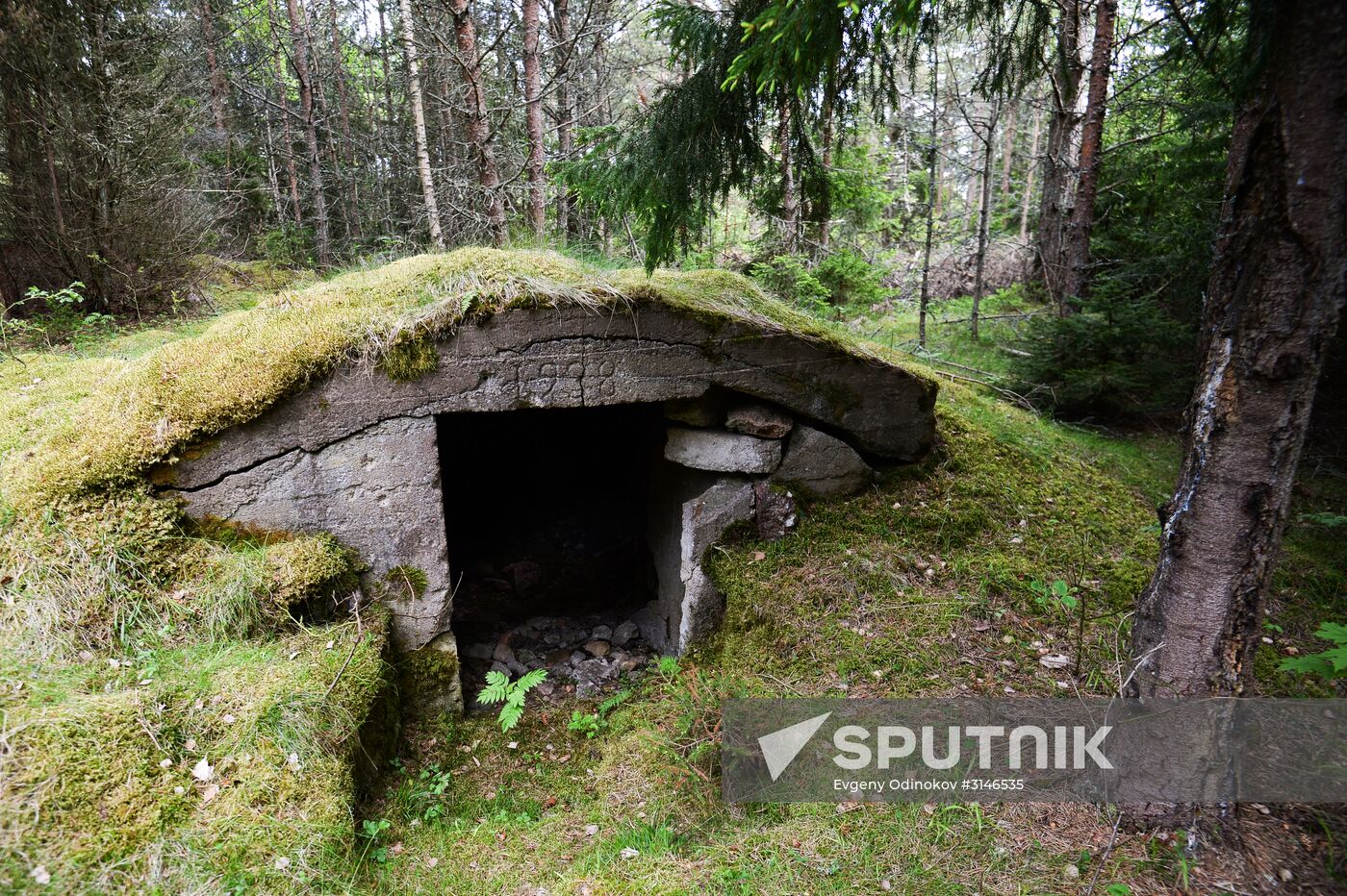 Gogland expedition to Gulf of Finland islands | Sputnik Mediabank