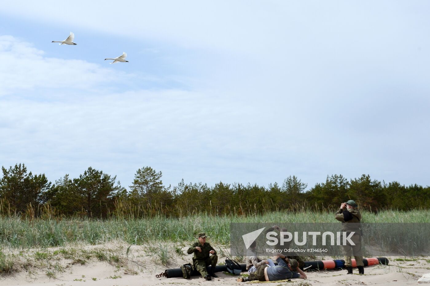 Gogland expedition to Gulf of Finland islands | Sputnik Mediabank