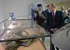 September 1, 2014. Russian President Vladimir Putin, right, visits the P. Lazarev Mammoth Museum at the M. K. Ammosov North-Eastern Federal University in Yakutsk. Location: Russia, Yakutsk. Author: Aleksey Nikolskyi/Sputnik. Vladimir Putin visits Far Eastern Federal District