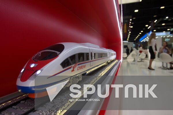 Preparations for St. Petersburg International Economic Forum's opening
