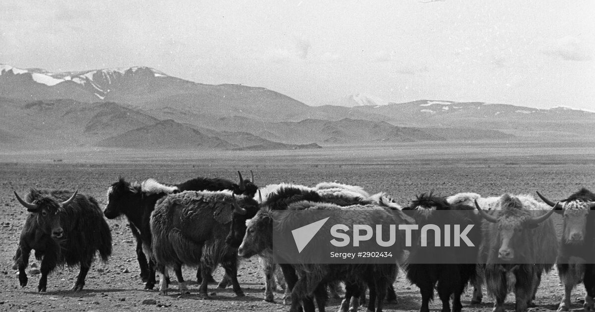 Gorny Altai | Sputnik Mediabank