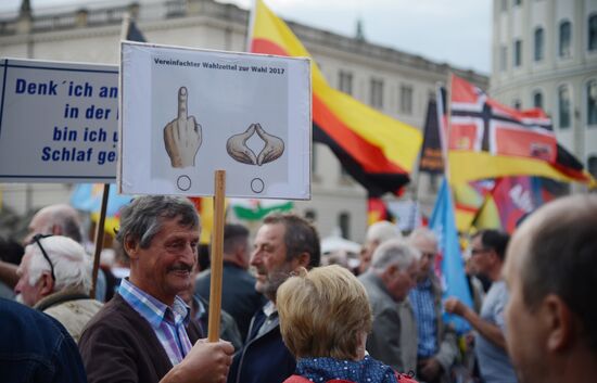 Alternative for Germany movement stages rally against Angela Merkel