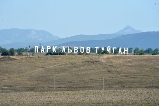 Taigan safari park in Crimea