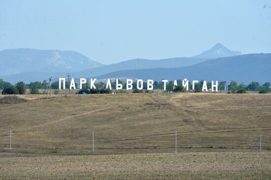 Taigan safari park in Crimea