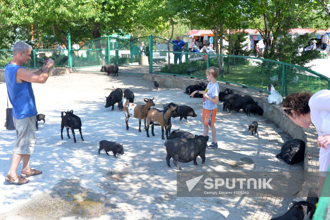 Taigan safari park in Crimea