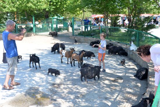 Taigan safari park in Crimea