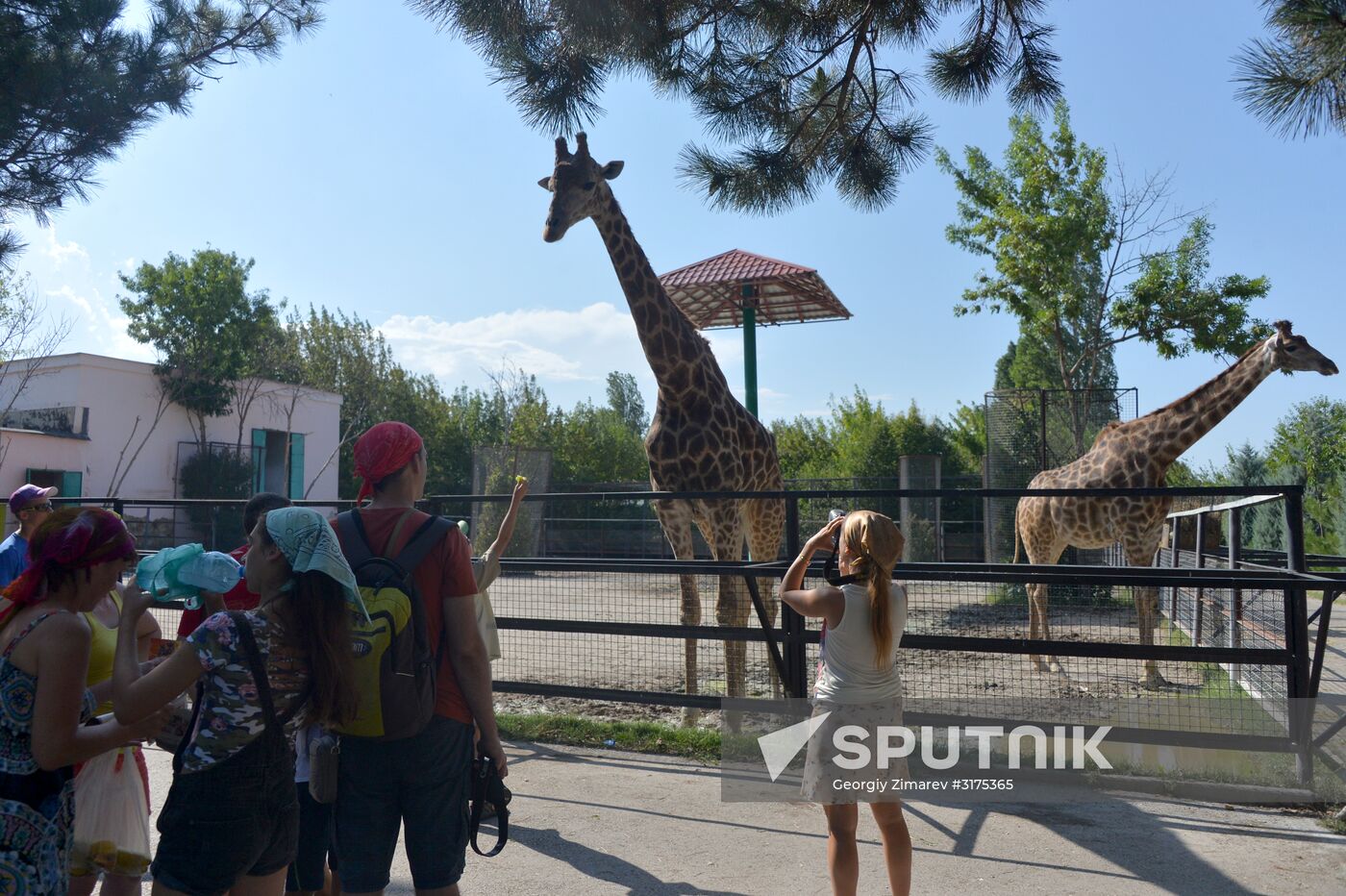 Taigan safari park in Crimea