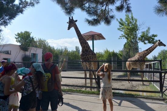 Taigan safari park in Crimea