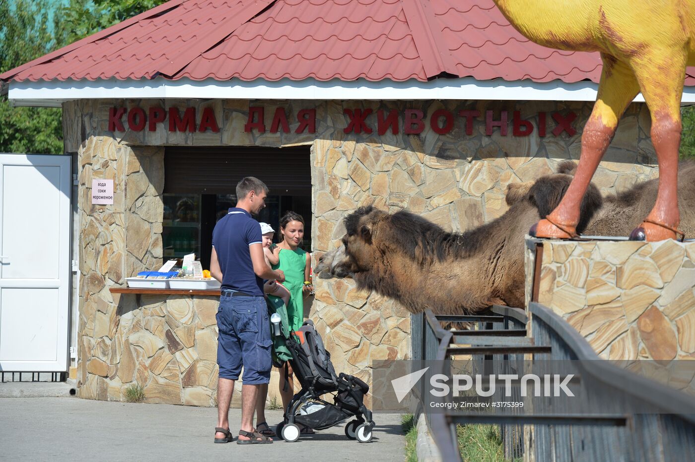 Taigan safari park in Crimea