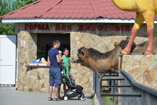 Taigan safari park in Crimea