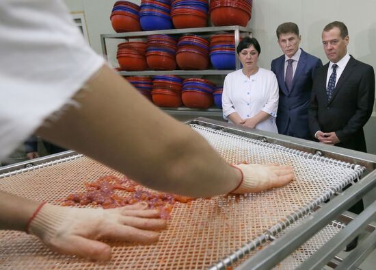 Prime Minister Dmitry Medvedev's working visit to Sakhalin