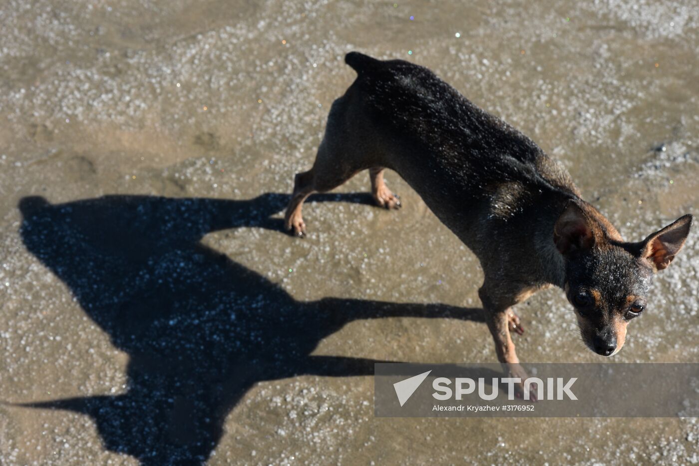 Salt lakes in Altai Territory