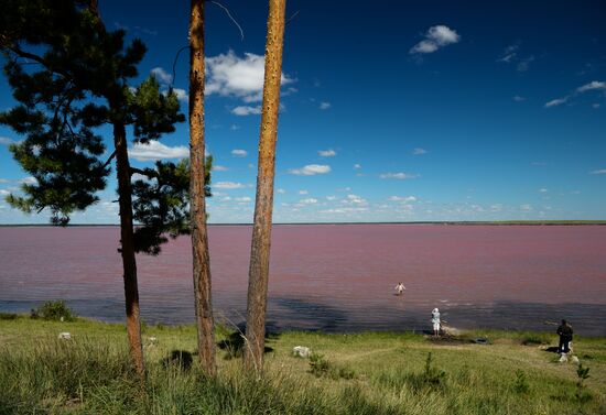 Salt lakes in Altai Territory