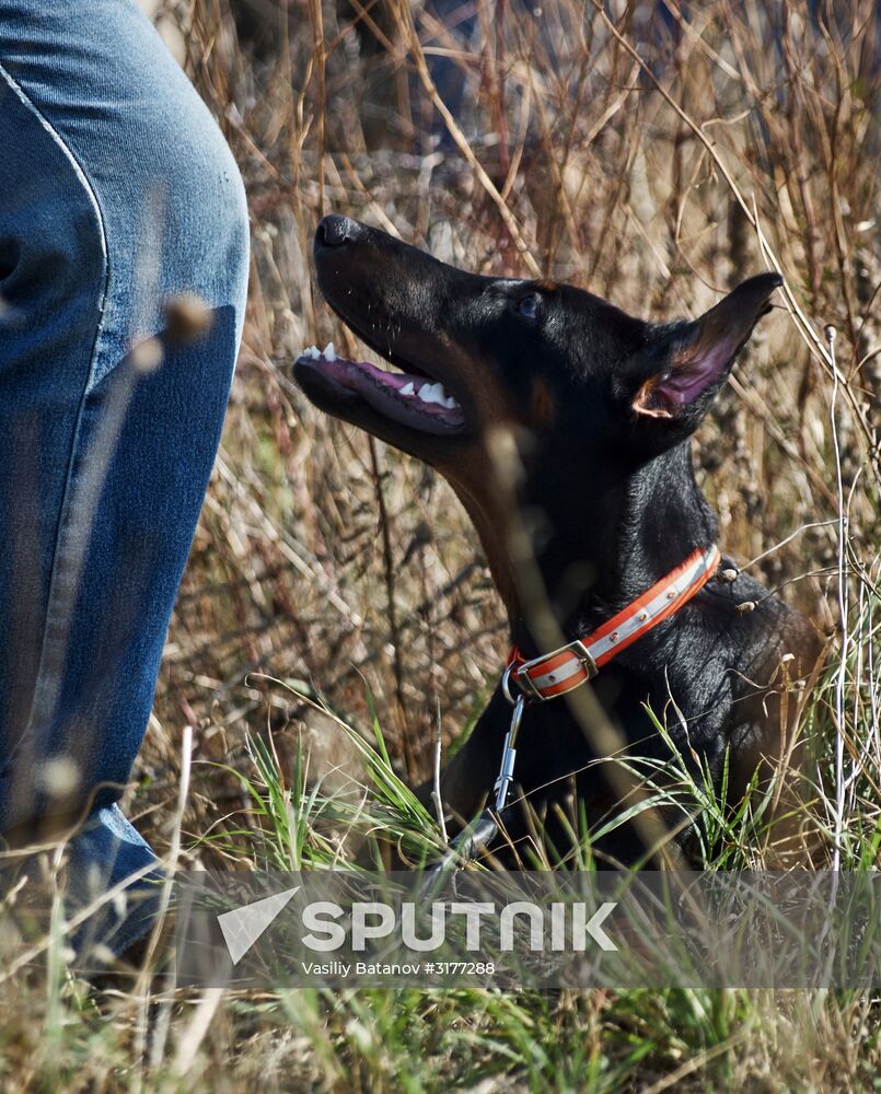 Russian Emergencies Ministry holds drills in Crimea